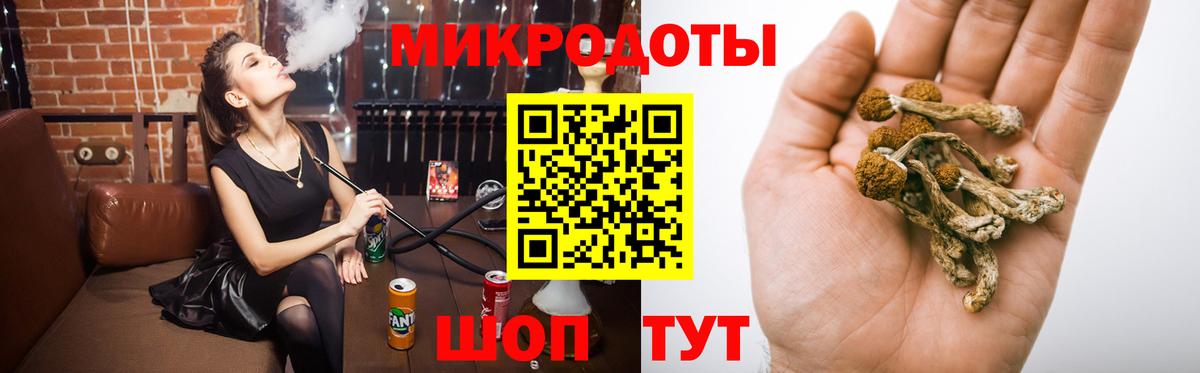 Галлюциногенные грибы Cubensis  Псилоцибиновые грибы мицелий  Каменка  Вход с VPN 